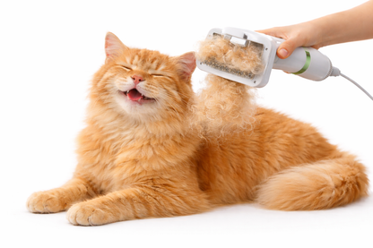 CEPILLO SECADOR PEINE™  2 EN 1 MASCOTAS