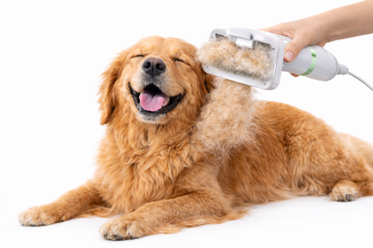 CEPILLO SECADOR PEINE™  2 EN 1 MASCOTAS